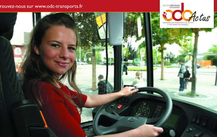 Article-employeurs-peuvent-verifier-validite-permis-conducteurs-Credit-nc
