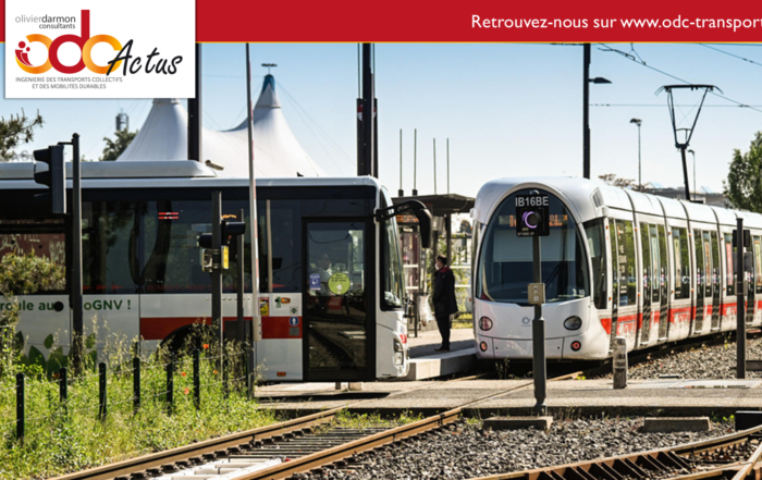 Article Concurrence Allotissement Lyon - Crédit SYTRAL
