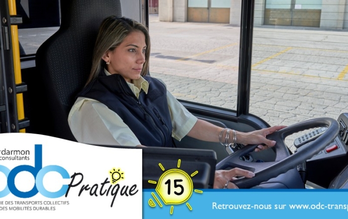 ODC Pratique 15 - Passé judiciaire des conducteurs - Crédit Swiss-Discovery - Adobe Stock